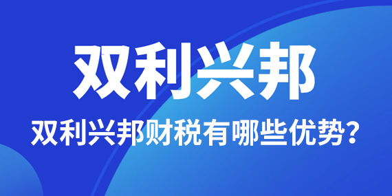 双利兴邦财税公司有哪些优势？