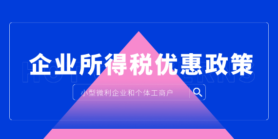 小型微利企业和个体工商户如何享受企业所得税优惠政策？