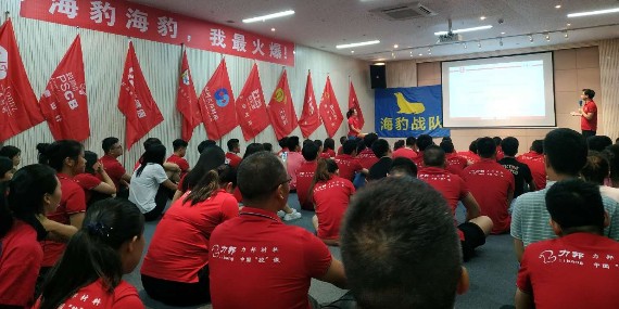 牛商争霸赛——让我重新起航